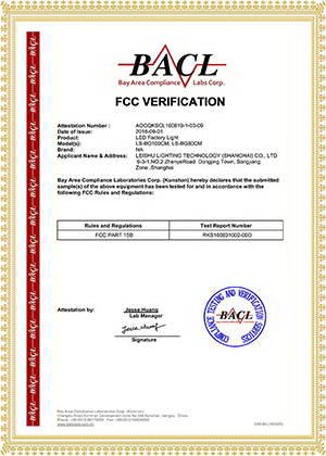 FCC 100W Rayshow Lighting